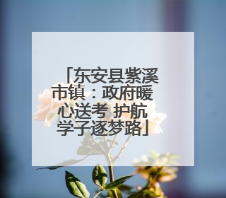 东安县紫溪市镇：政府暖心送考 护航学子逐梦路