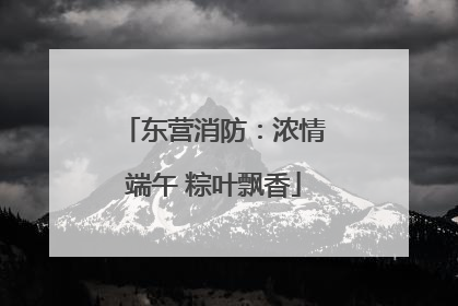 东营消防：浓情端午 粽叶飘香