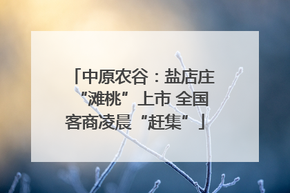 中原农谷：盐店庄“滩桃”上市 全国客商凌晨“赶集”