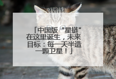 中国版“星链”在这里诞生，未来目标：每一天半造一颗卫星！