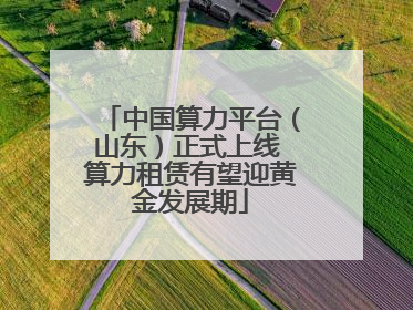 中国算力平台（山东）正式上线 算力租赁有望迎黄金发展期