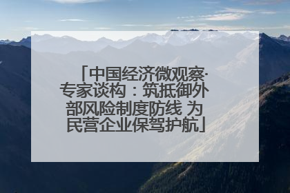 中国经济微观察·专家谈构：筑抵御外部风险制度防线 为民营企业保驾护航