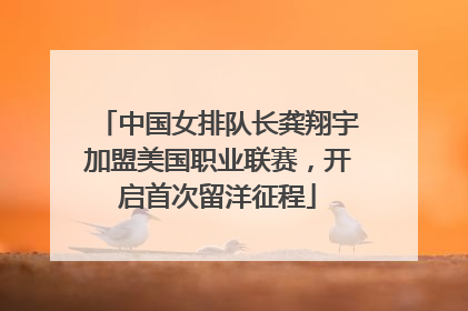 中国女排队长龚翔宇加盟美国职业联赛，开启首次留洋征程