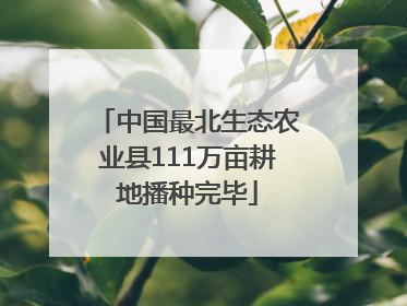 中国最北生态农业县111万亩耕地播种完毕