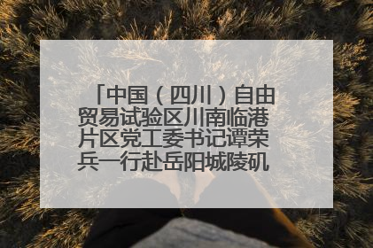 中国（四川）自由贸易试验区川南临港片区党工委书记谭荣兵一行赴岳阳城陵矶综保区考察