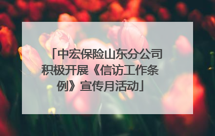 中宏保险山东分公司积极开展《信访工作条例》宣传月活动