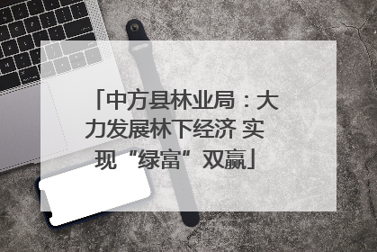 中方县林业局：大力发展林下经济 实现“绿富”双赢