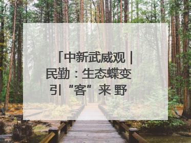 中新武威观｜民勤：生态蝶变引“客”来 野生动物乐逍遥