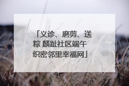 义诊、磨剪、送粽 麟趾社区端午织密邻里幸福网