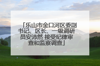 乐山市金口河区委副书记、区长、一级调研员安沛然 接受纪律审查和监察调查