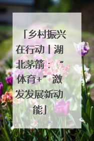 乡村振兴在行动丨湖北茅箭：“体育+”激发发展新动能