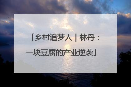乡村追梦人｜林丹：一块豆腐的产业逆袭