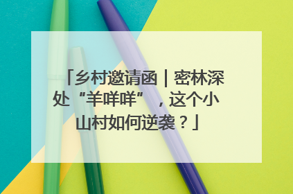 乡村邀请函｜密林深处“羊咩咩”，这个小山村如何逆袭？