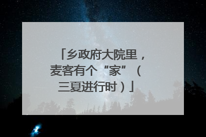 乡政府大院里，麦客有个“家”（三夏进行时）