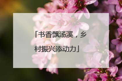 书香飘汤溪，乡村振兴添动力