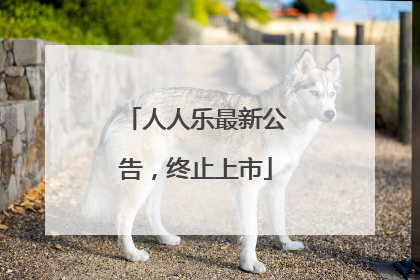 人人乐最新公告，终止上市