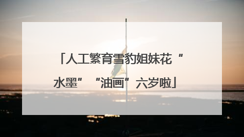 人工繁育雪豹姐妹花“水墨”“油画”六岁啦