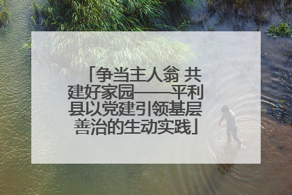 争当主人翁 共建好家园——平利县以党建引领基层善治的生动实践