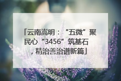 云南嵩明：“五微”聚民心“3456”筑基石，精治善治谱新篇