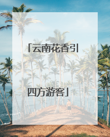 云南花香引四方游客