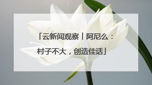 云新闻观察︱阿尼么：村子不大，创造佳话