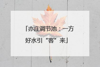 亦庄调节池：一方好水引“客”来
