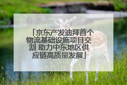 京东产发迪拜首个物流基础设施项目交割 助力中东地区供应链高质量发展