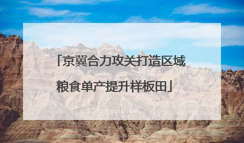 京冀合力攻关打造区域粮食单产提升样板田