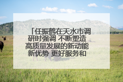 任振鹤在天水市调研时强调 不断塑造高质量发展的新动能新优势 更好服务和融入以国内大循环为主体的新发展格局
