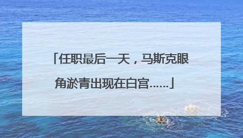 任职最后一天，马斯克眼角淤青出现在白宫……
