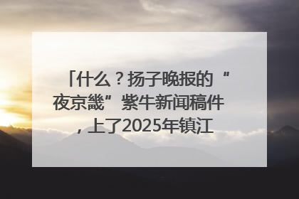 什么？扬子晚报的“夜京畿”紫牛新闻稿件，上了2025年镇江中考模拟卷！