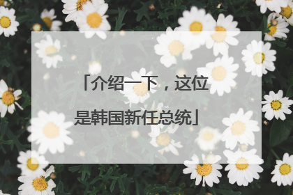 介绍一下，这位是韩国新任总统