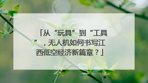 从“玩具”到“工具”，无人机如何书写江西低空经济新篇章？