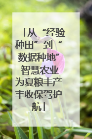 从“经验种田”到“数据种地” 智慧农业为夏粮丰产丰收保驾护航