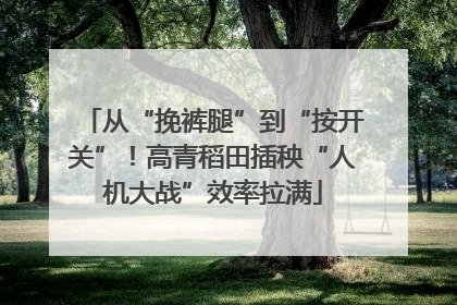 从“挽裤腿”到“按开关”！高青稻田插秧“人机大战”效率拉满