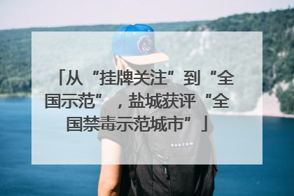 从“挂牌关注”到“全国示范”，盐城获评“全国禁毒示范城市”