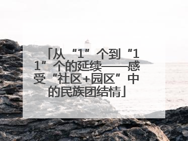 从“1”个到“11”个的延续——感受“社区+园区”中的民族团结情
