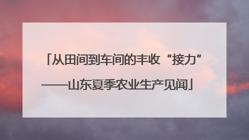 从田间到车间的丰收“接力”——山东夏季农业生产见闻