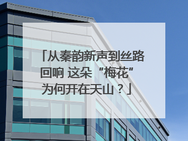 从秦韵新声到丝路回响 这朵“梅花”为何开在天山？
