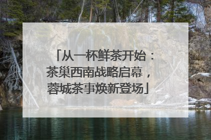 从一杯鲜茶开始：茶巢西南战略启幕，蓉城茶事焕新登场