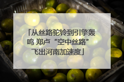 从丝路驼铃到引擎轰鸣 郑卢“空中丝路”飞出河南加速度