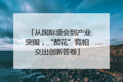 从国际盛会到产业突围，“醴花”竞相交出创新答卷