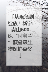从濒危到绽放！新宁崀山600株“国宝兰”获省级生物保护嘉奖