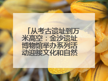 从考古遗址到万米高空：金沙遗址博物馆举办系列活动迎接文化和自然遗产日