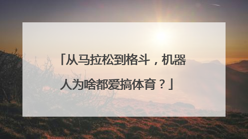 从马拉松到格斗，机器人为啥都爱搞体育？