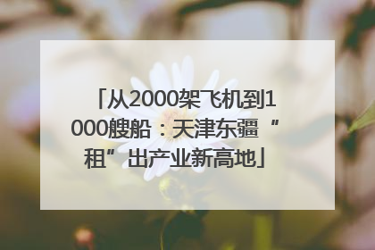 从2000架飞机到1000艘船：天津东疆“租”出产业新高地