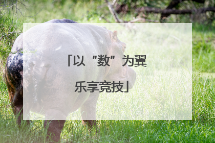以“数”为翼 乐享竞技
