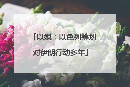 以媒：以色列筹划对伊朗行动多年