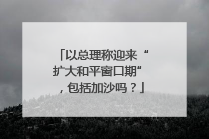 以总理称迎来“扩大和平窗口期”，包括加沙吗？