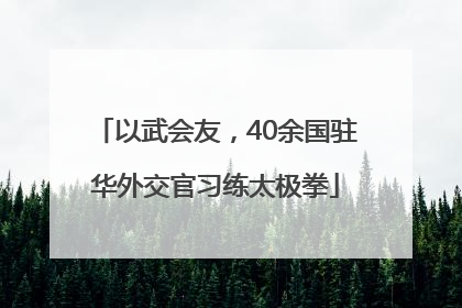以武会友，40余国驻华外交官习练太极拳